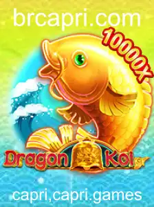 Descubra o Mundo Fascinante de DragonKoi